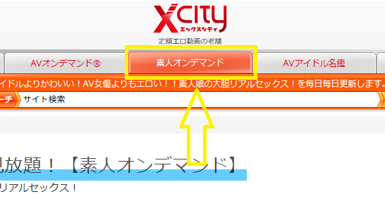 XCITYの作品