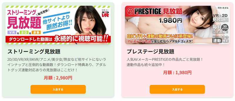 アダルトフェスタのプラン