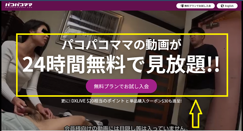 パコパコママの24時間無料プラン
